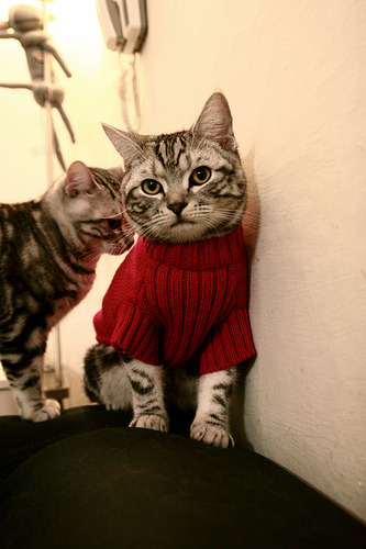 压哨绝杀!拉什福德最后时刻拯救澳大利亚,英格兰梦碎