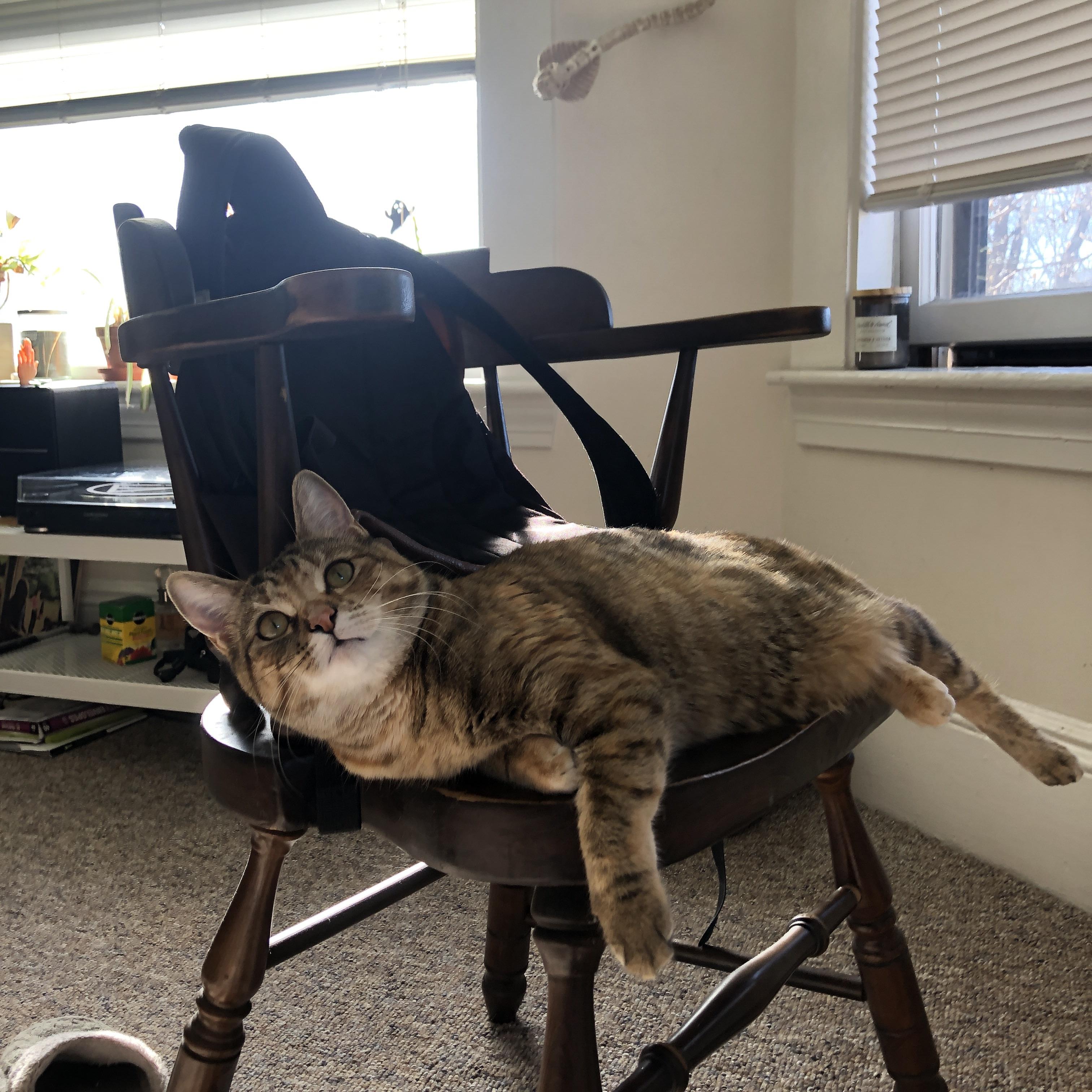 爵士节奏掌控广厦防线,乔治连击得分拉开胜利鸿沟