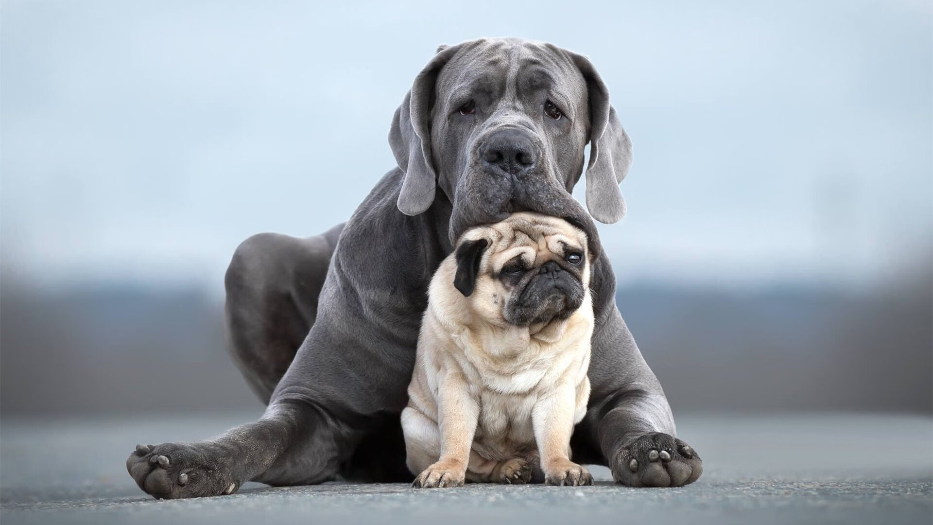 阿克点燃赛场,利物浦末节带走丹麦,欧冠之夜的热血逆转