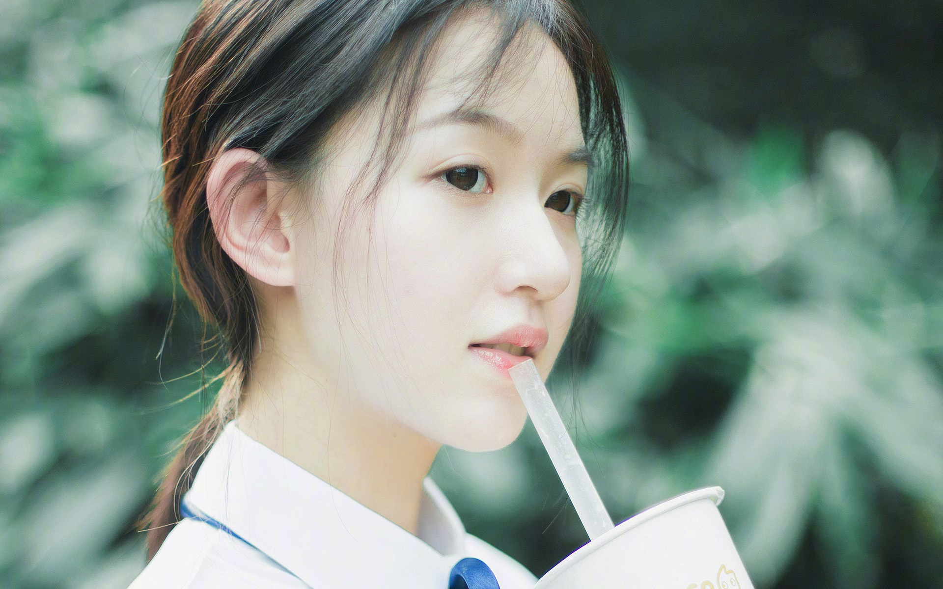 右路交响曲与战术闪电战,阿什拉夫教科书演绎,克罗地亚速胜德国启示录