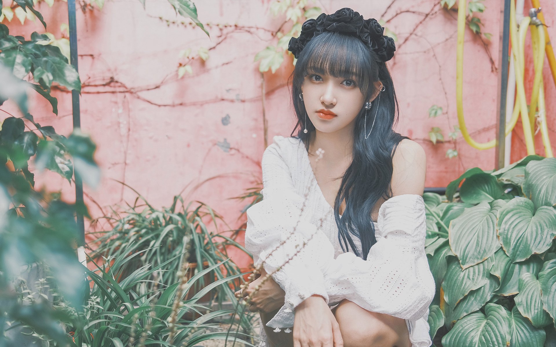 绿茵烽烟与木地板传奇,一场提前上演的美加墨虚拟对决