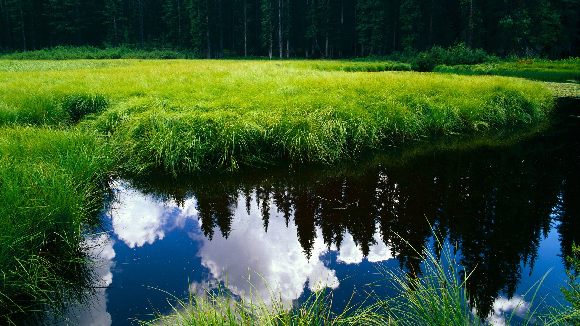 救世主穿错球衣,杜兰特客串魔术,戏剧性绝杀尼克斯