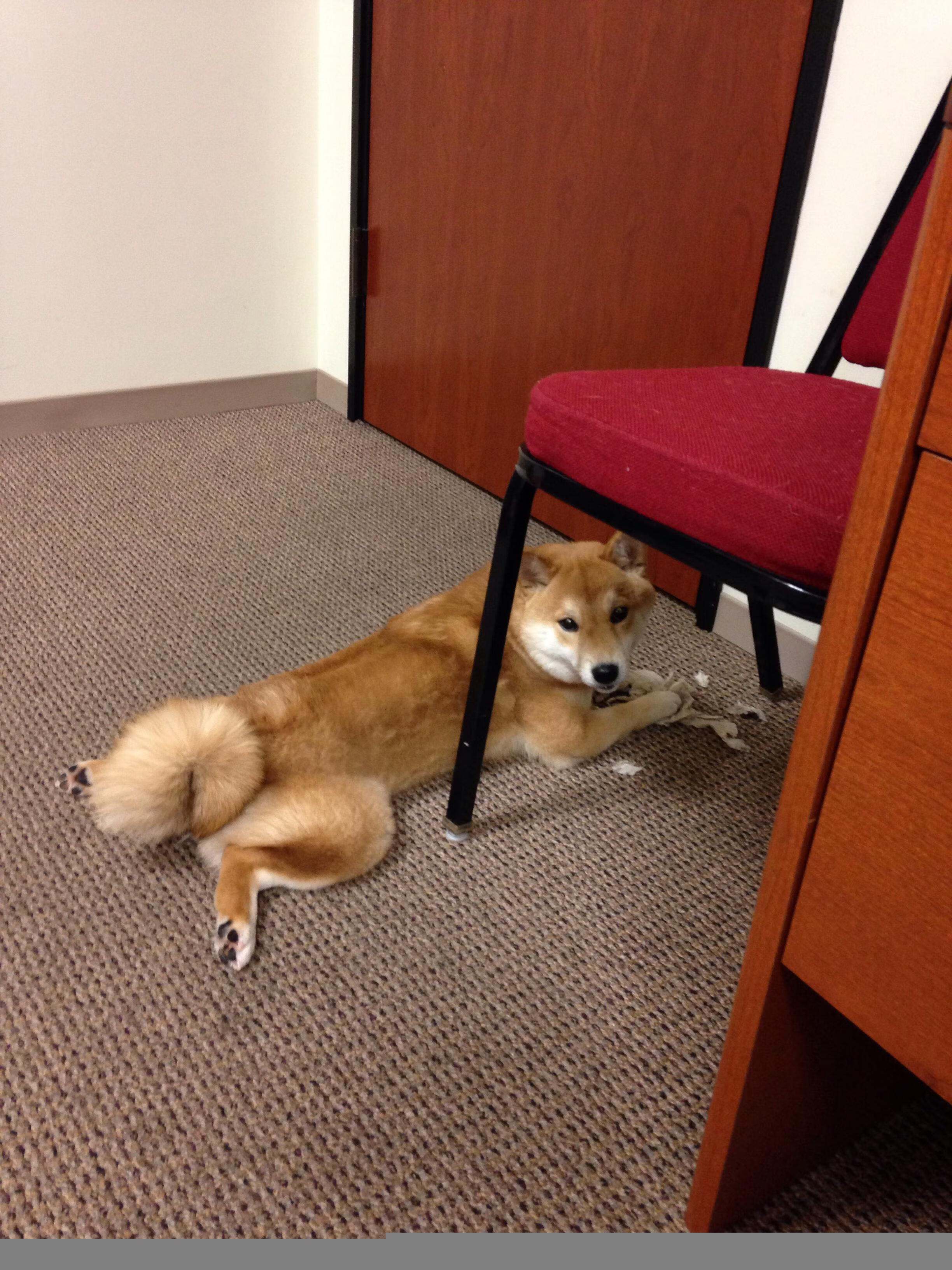 利刺与重锤,哈登持续制造杀伤,雄鹿集体冲垮凯尔特人