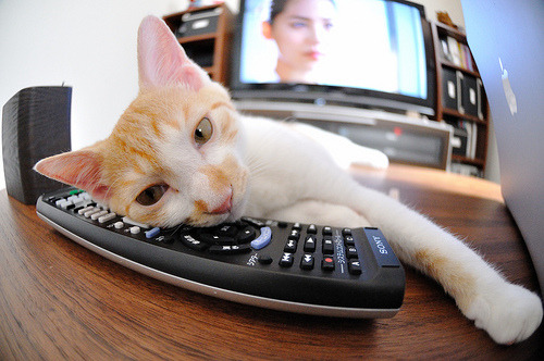 新生代铁闸一鸣惊人—德里赫特在国家队首秀中惊艳四座