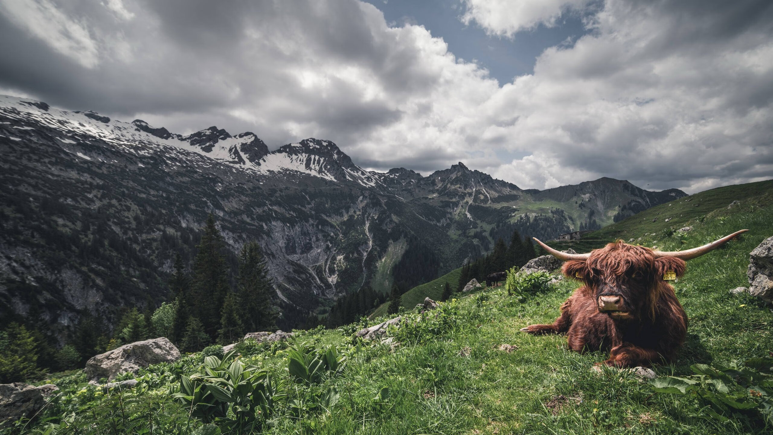 唯一的答案,当奥纳纳的非理性爆发照亮比利亚雷亚尔的理性牢笼