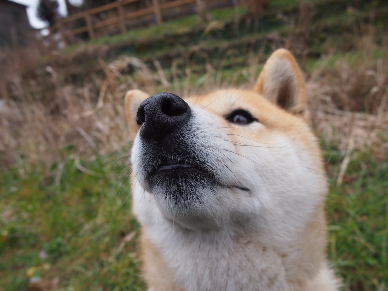 人工智能般精准！伦纳德化身山西战术核心，率队轻取深圳上演教科书式胜利