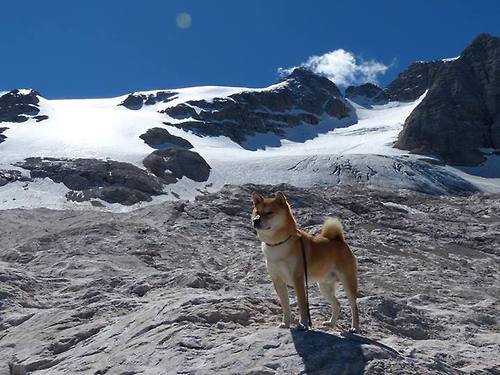 双线狂飙,赛道极限与绿茵铁血