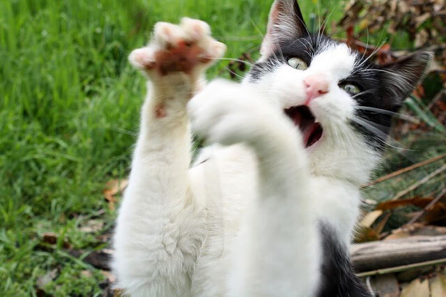 跨时空的掌控者,从快船碾压山西到贝恩世界杯接管