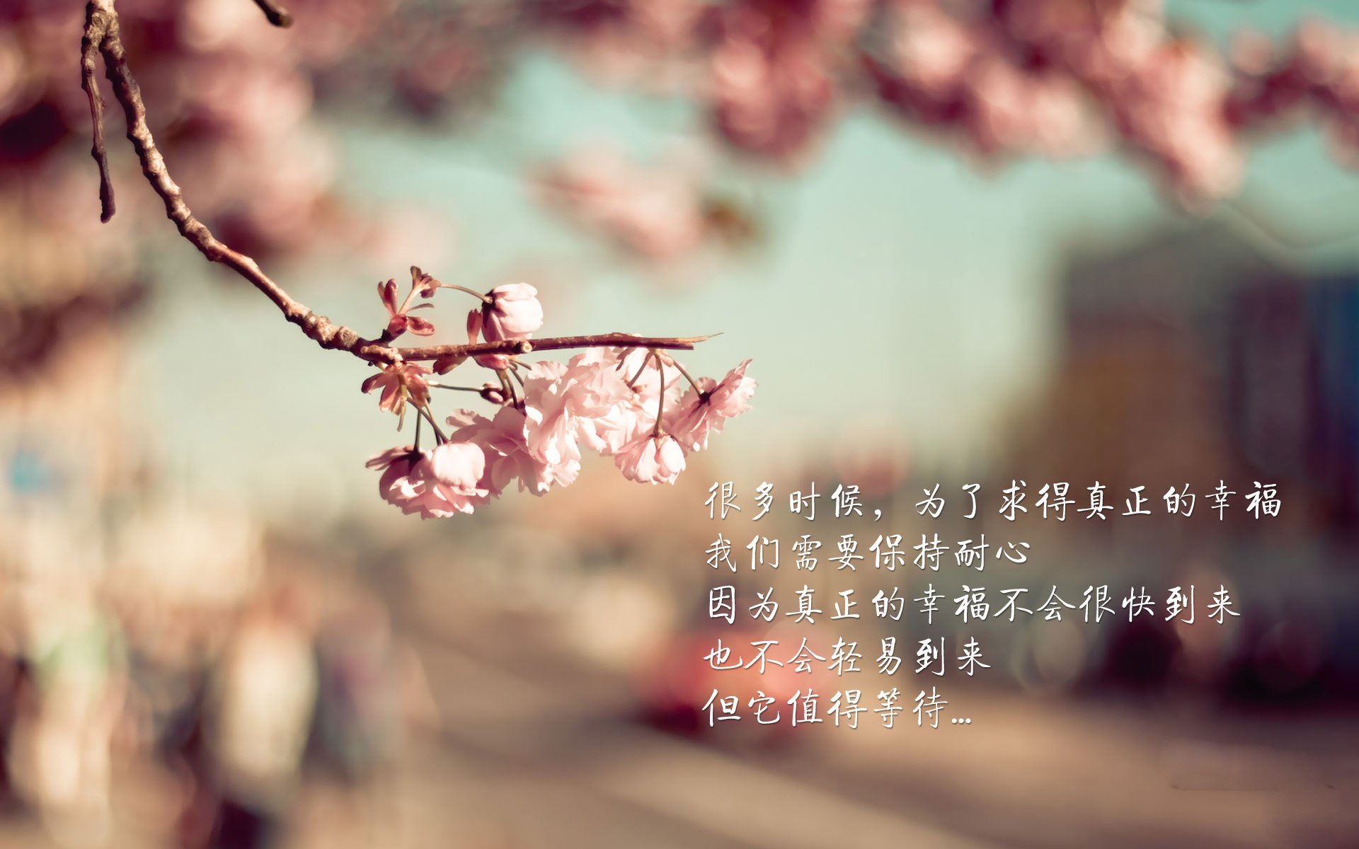 沙漠风暴碾碎寒冰纪元,2026世界杯,伊拉克三球完胜瑞士,登贝莱率队演绎攻守转换教科书
