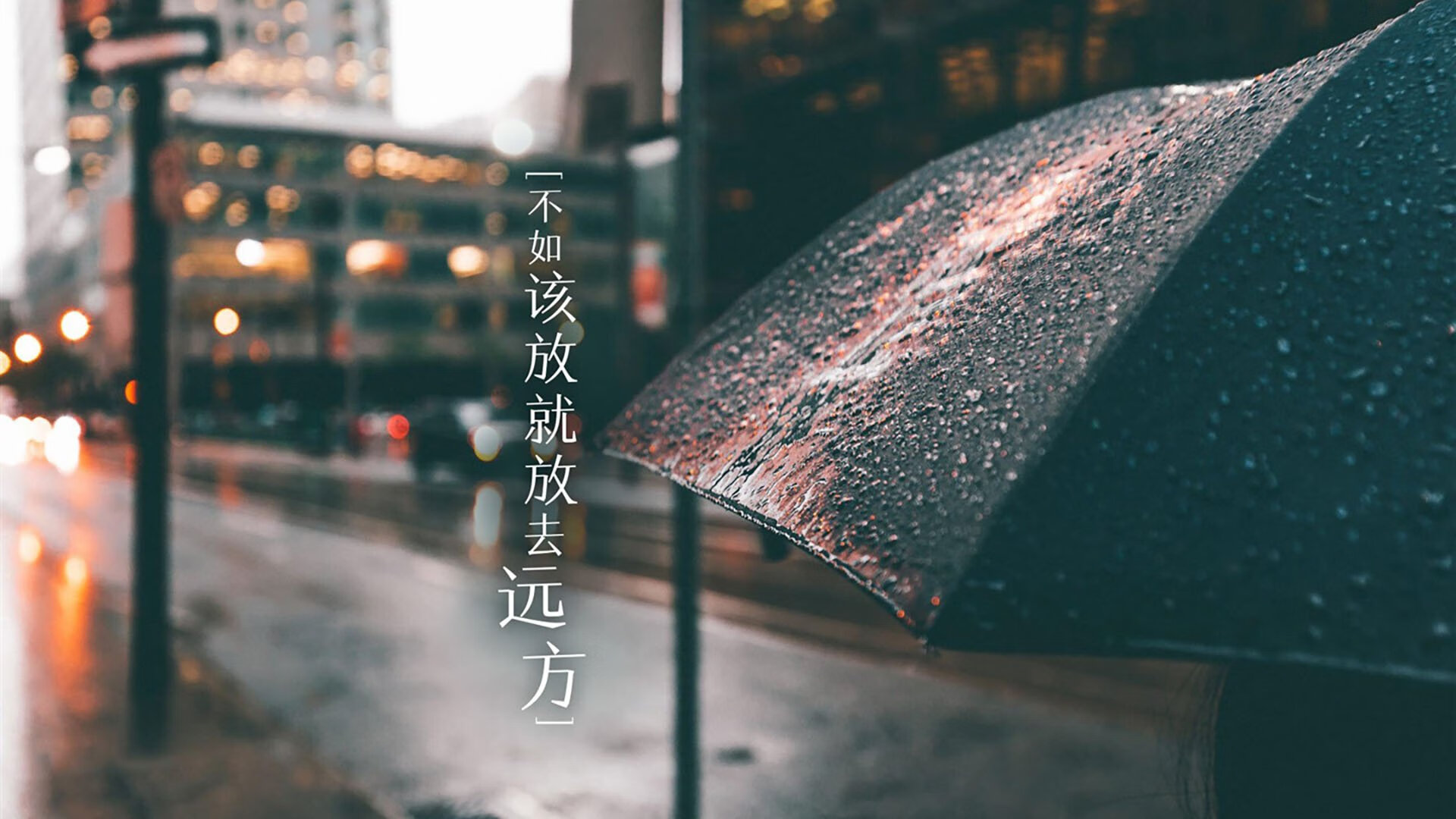 2026世界杯D组唯一弑神剧本,当韩国铁骑踏破宿命,卢卡库在亚洲德比中加冕