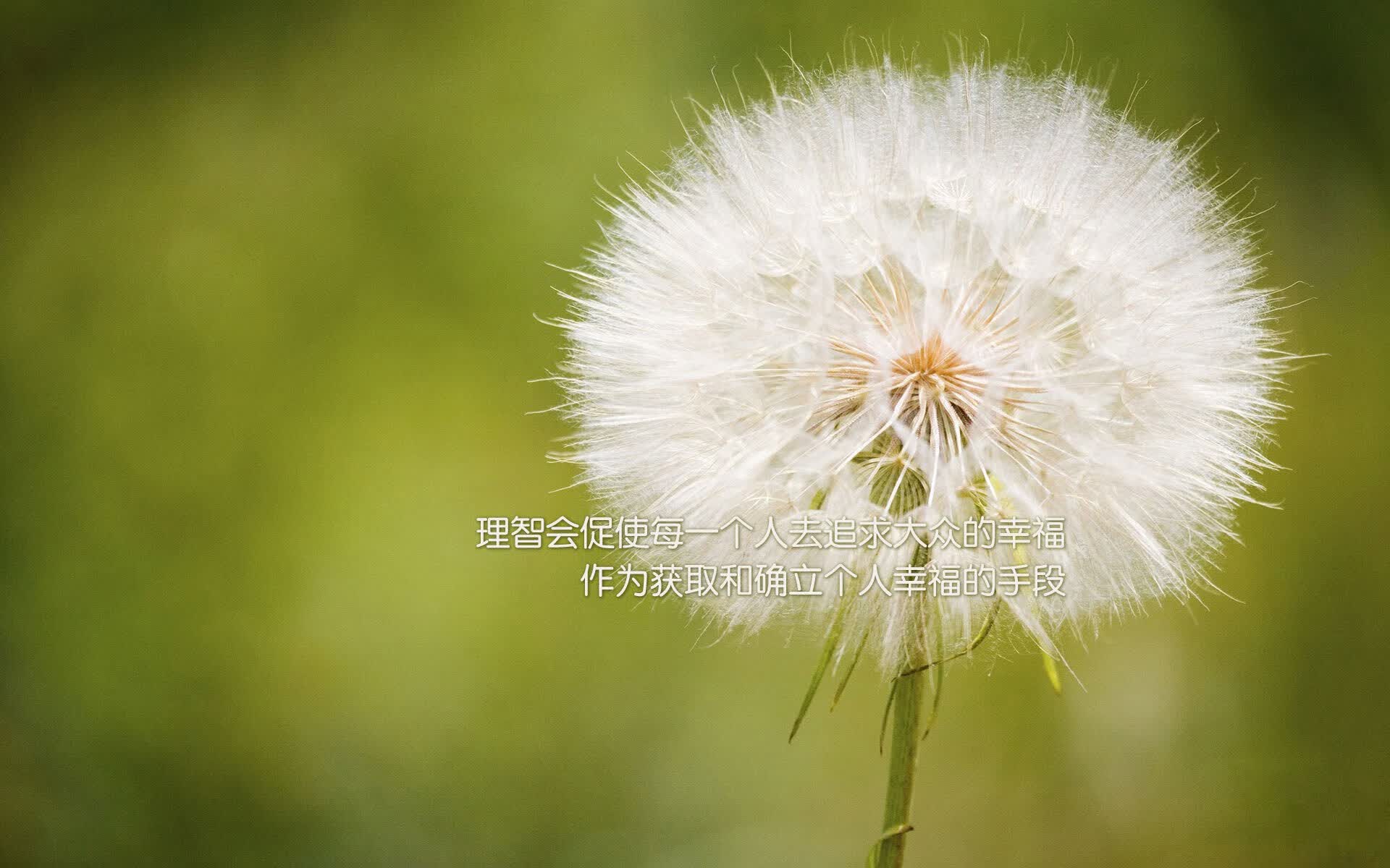 2026世界杯D组唯一弑神剧本,当韩国铁骑踏破宿命,卢卡库在亚洲德比中加冕