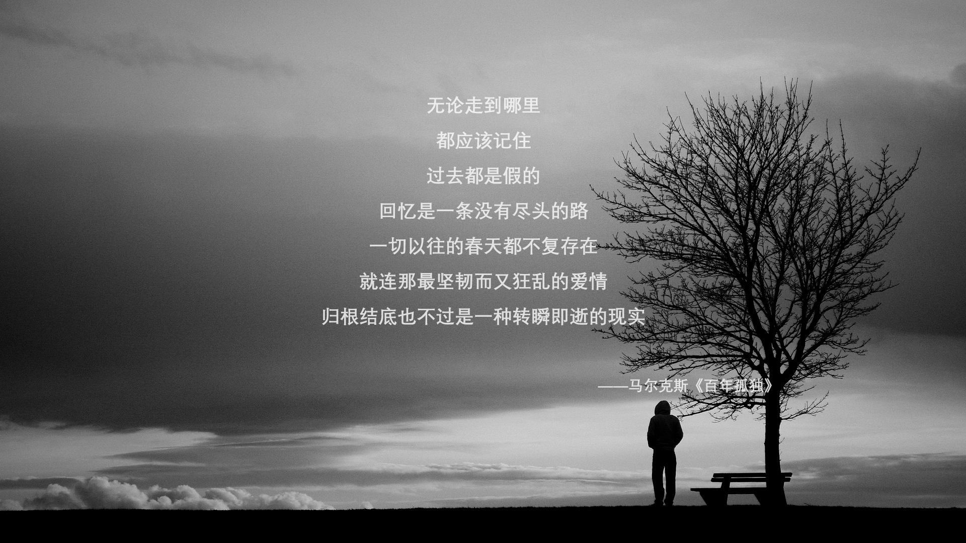 唯一的神迹,当38岁的莫德里奇让桑巴军团在沙漠中折戟,保加利亚的玫瑰在卡塔尔怒放