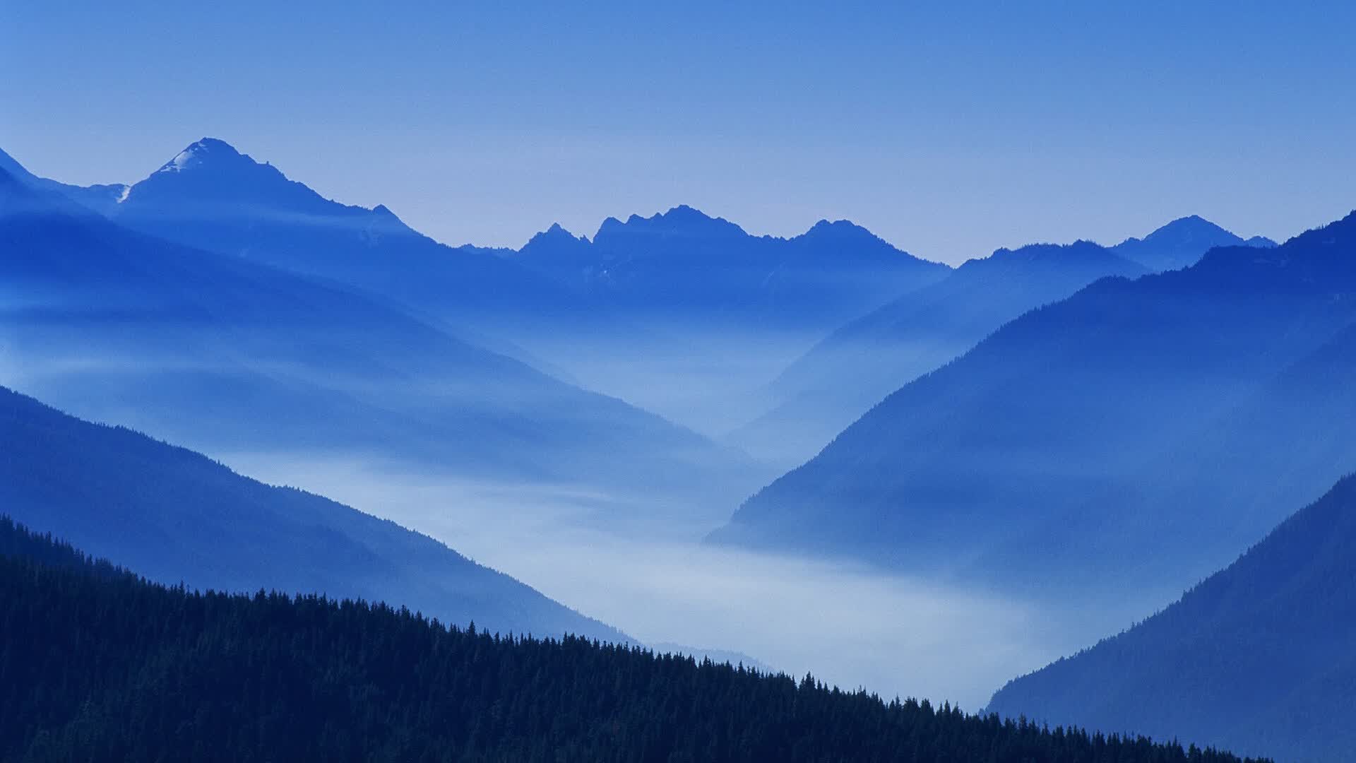 构思