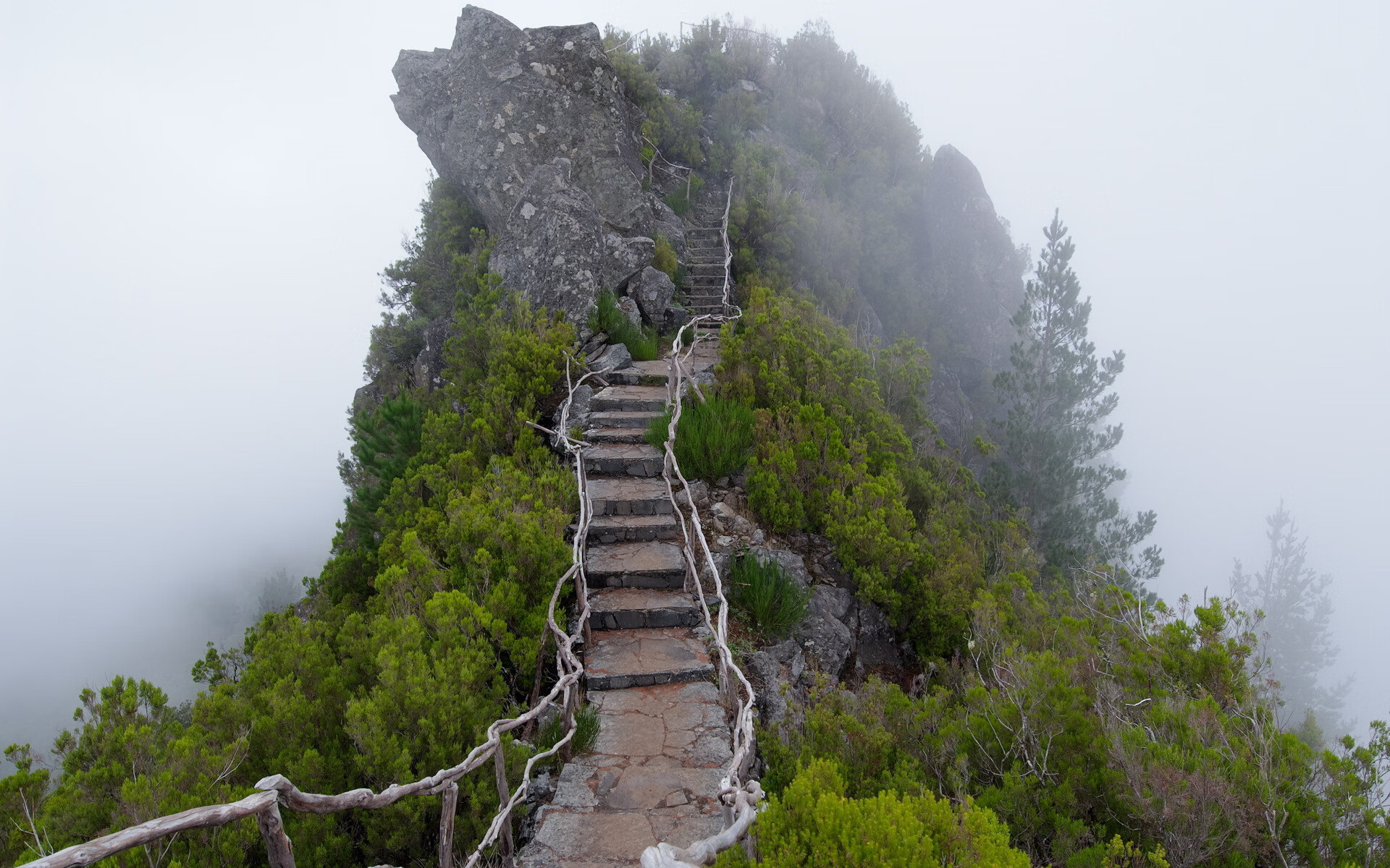 唯一的时钟,当法国和意大利的永恒战争,被罗德里戈的节拍器重塑